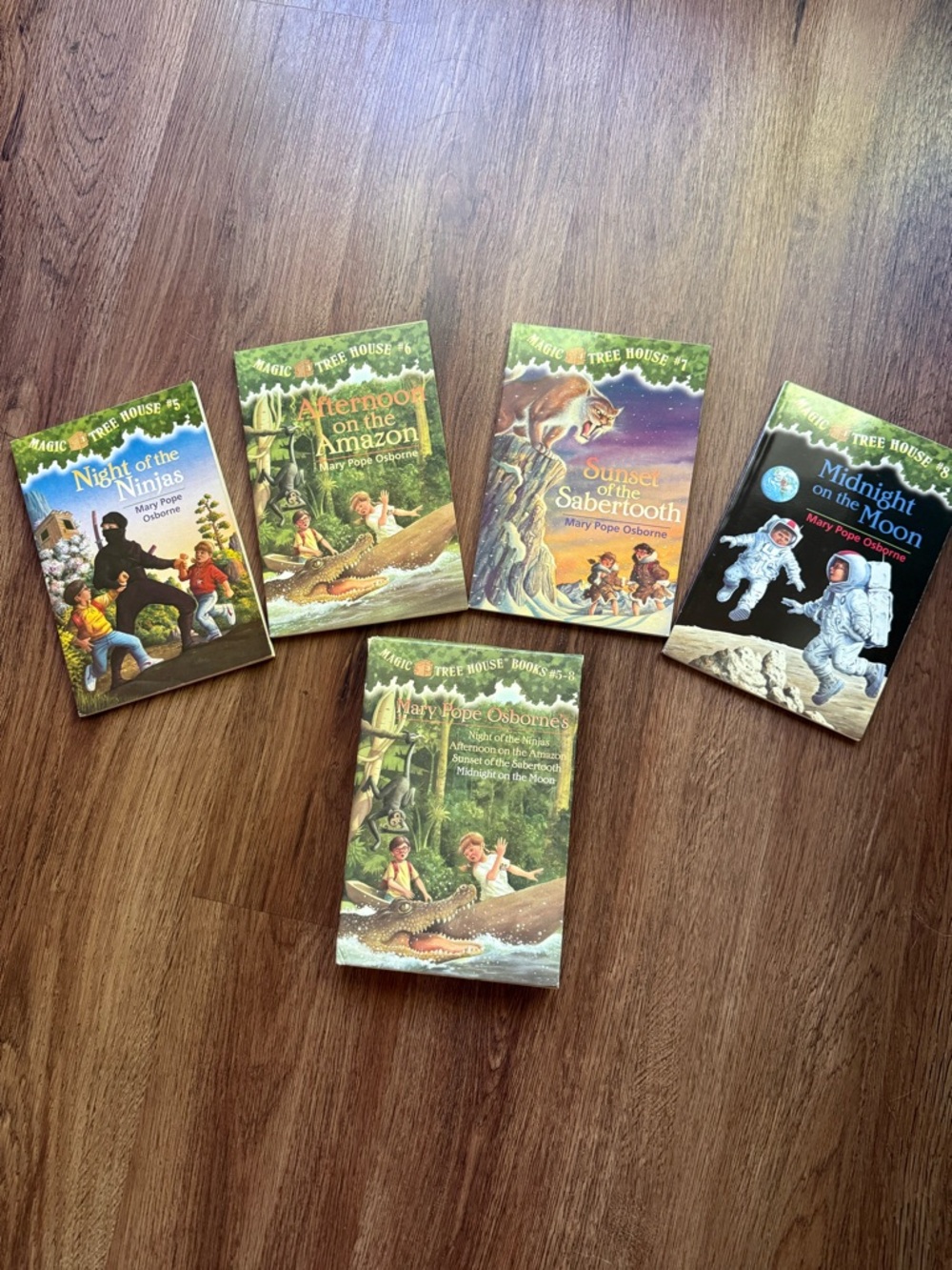 Magic tree house box set